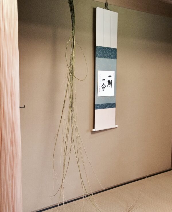 結び柳　初釜用  3ｍ　京都産