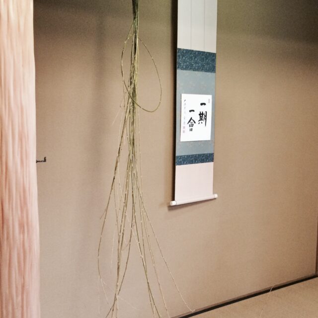 結び柳　初釜用  3ｍ　京都産